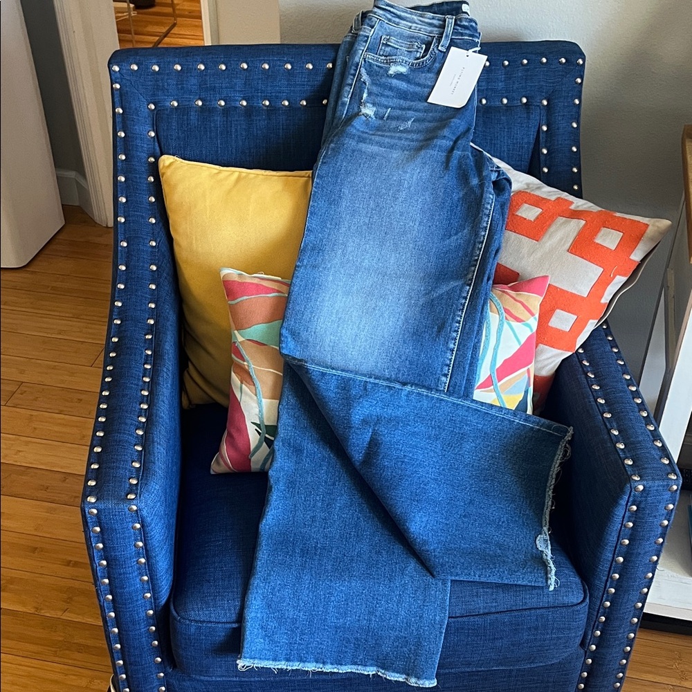 Flying Monkey Distressed Blue Jeans
